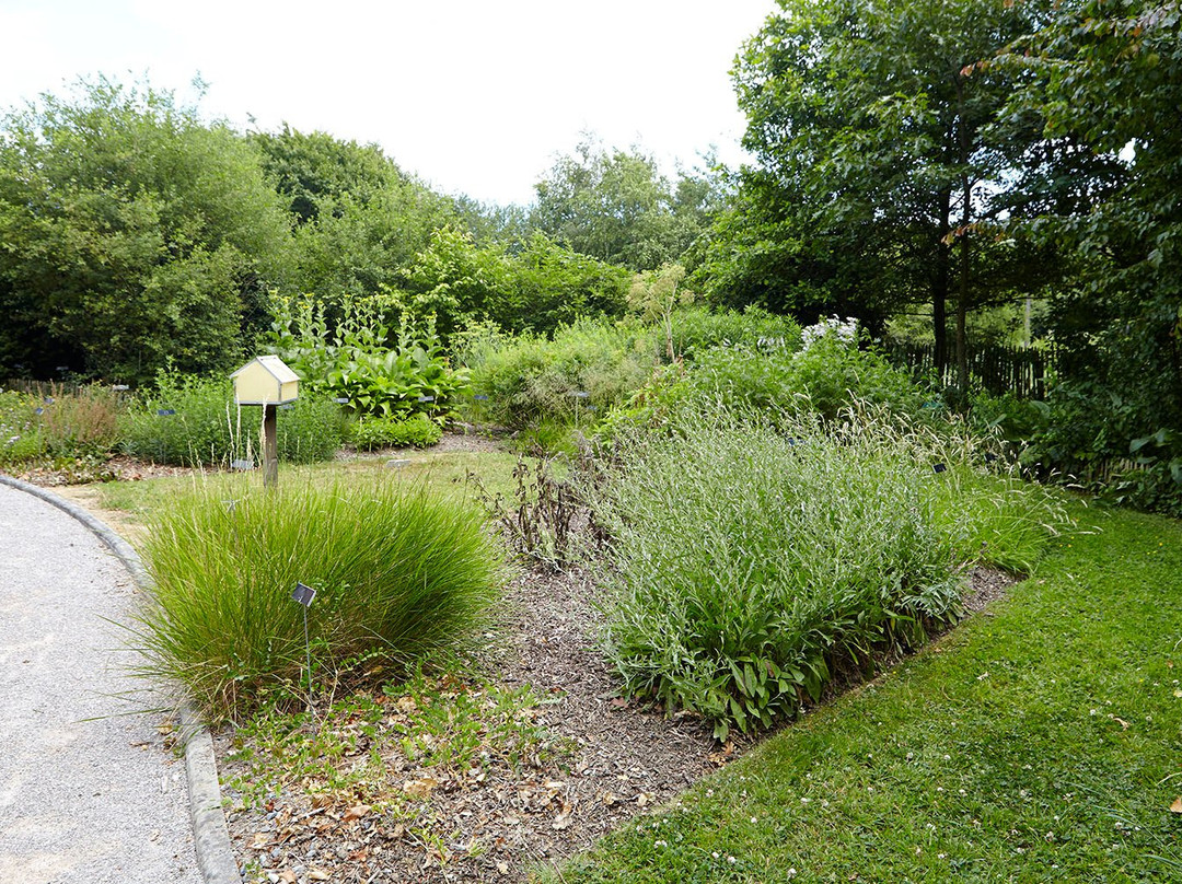 Conservatoire botanique national de Bailleul景点图片