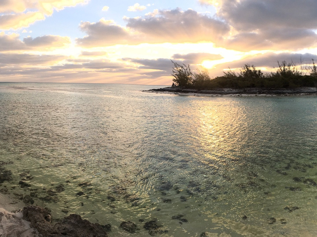 Orange Creek Inn主图