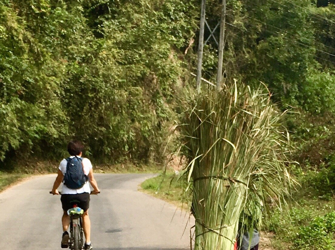 Luang Namtha Valley Route-琅南塔必去景点