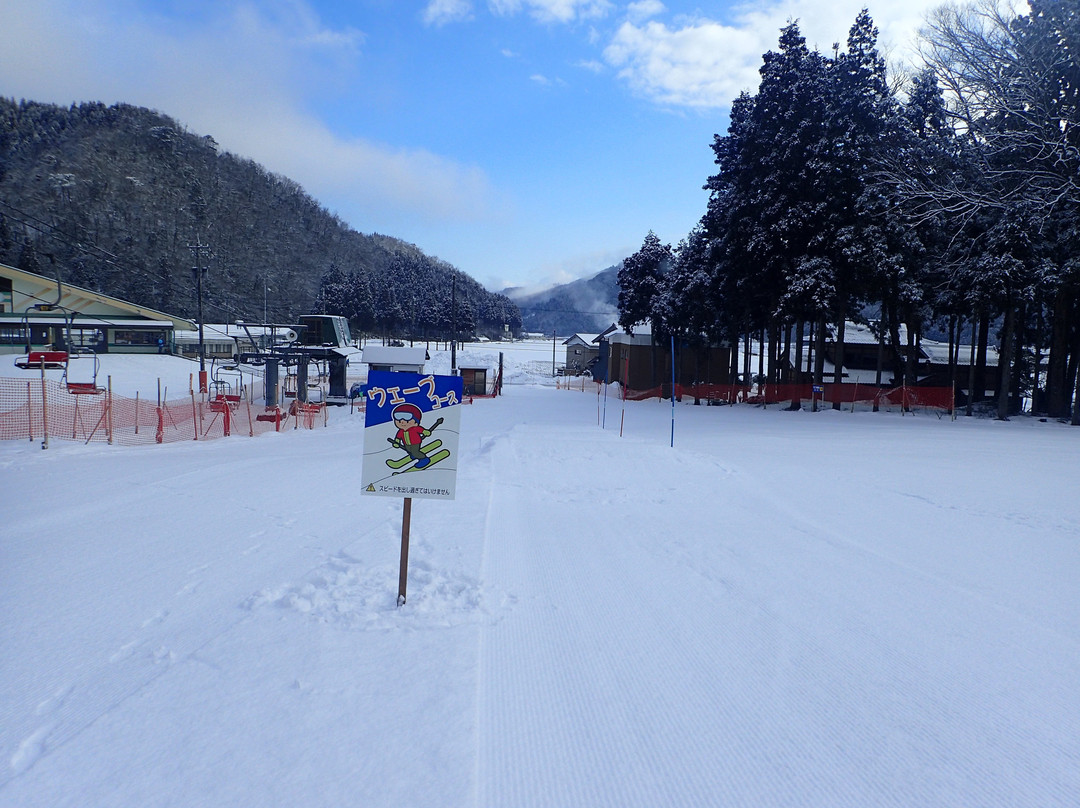 Shimbo Family Ski Resort景点图片