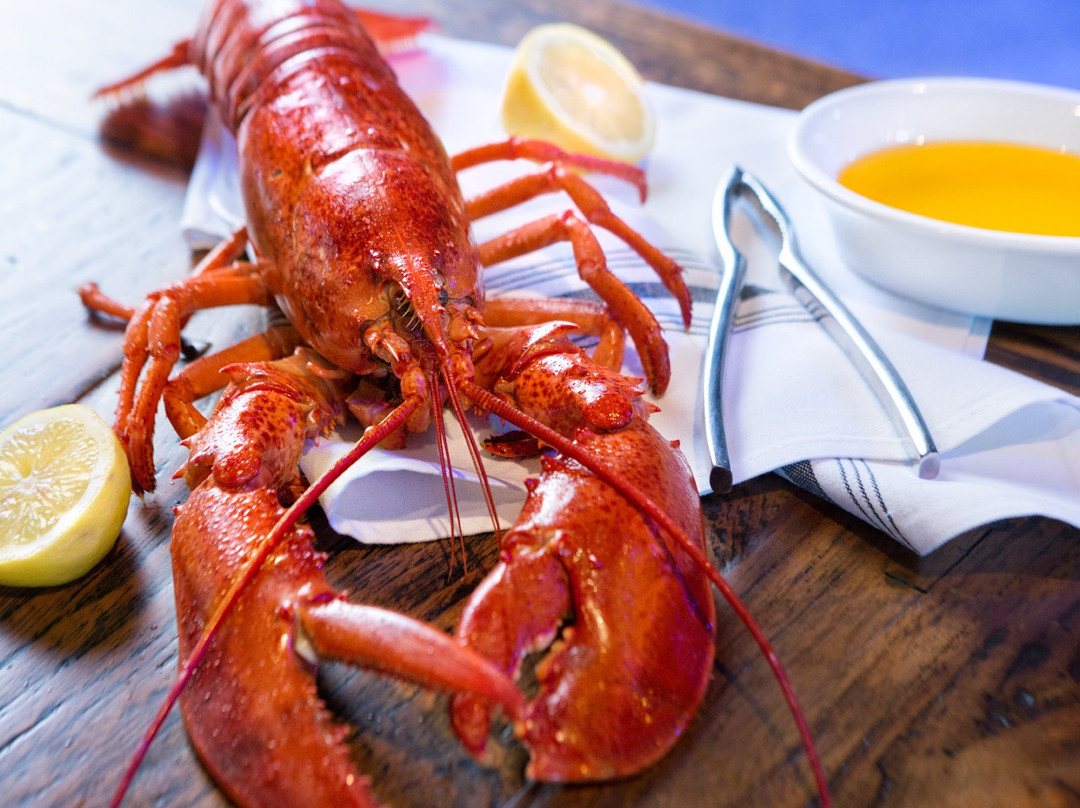 诺克斯维尔餐馆和美食-Chesapeake's Downtown