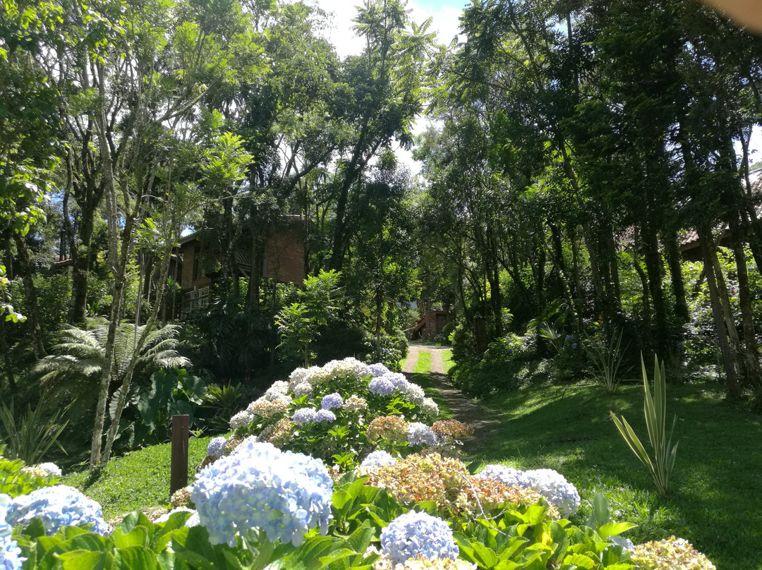 Pousada Solar d'Araucaria主图