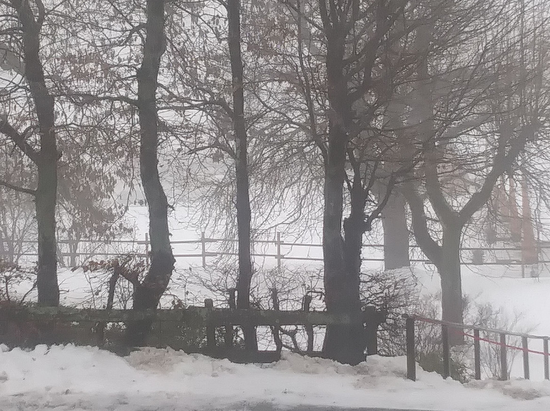 Haus Hanjopkes主图