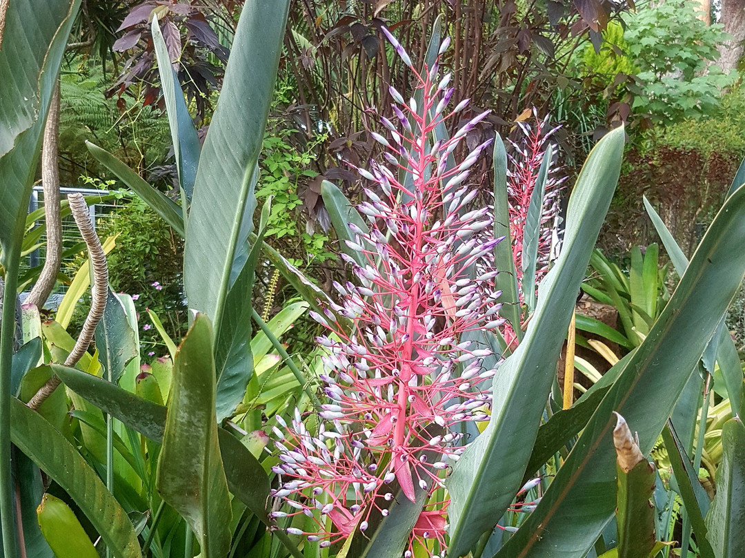 Treehouse Retreat at Diamond Waters主图