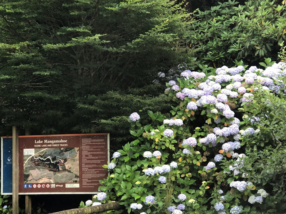Burgess Park (Meeting of The Waters)-新普利默斯必去景点