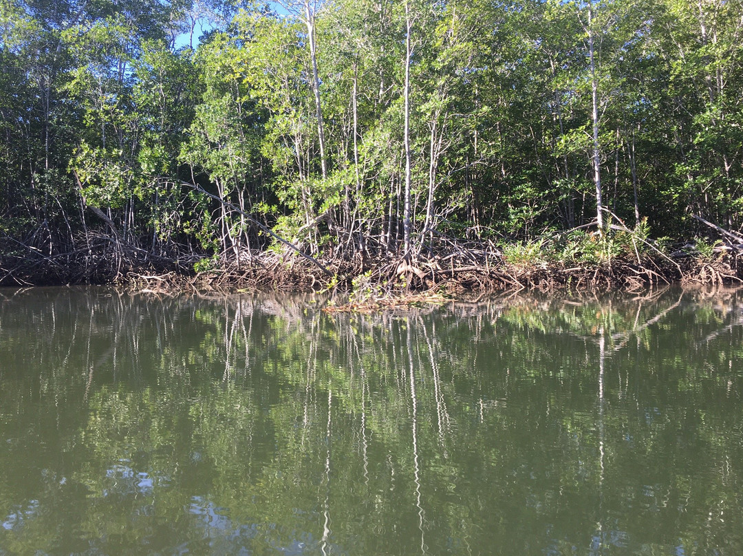 Hostal La Libertad主图