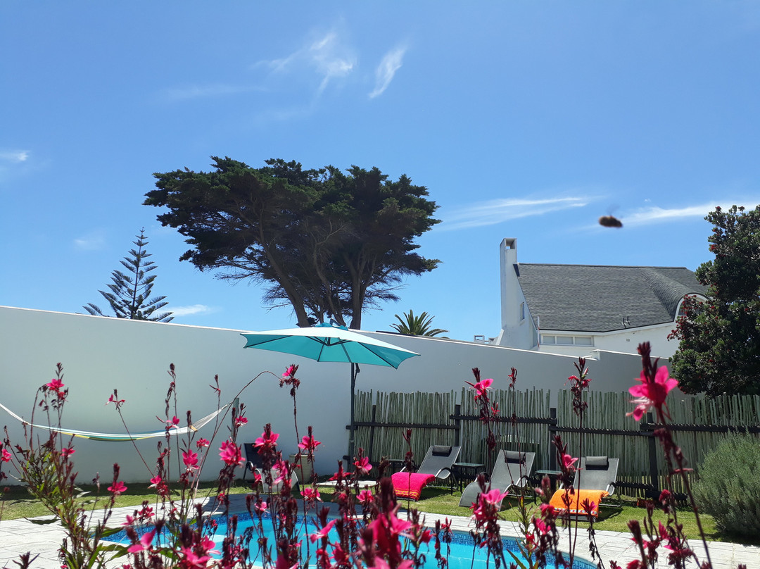 St Francis Bay Villas