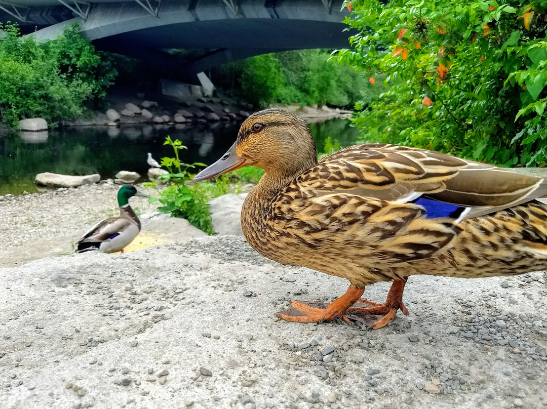 Sammamish River Trail-雷德蒙德必去景点