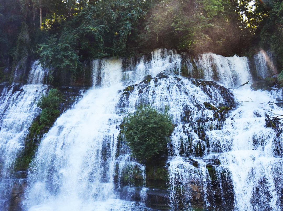 The Retreat At Center Hill Lake主图