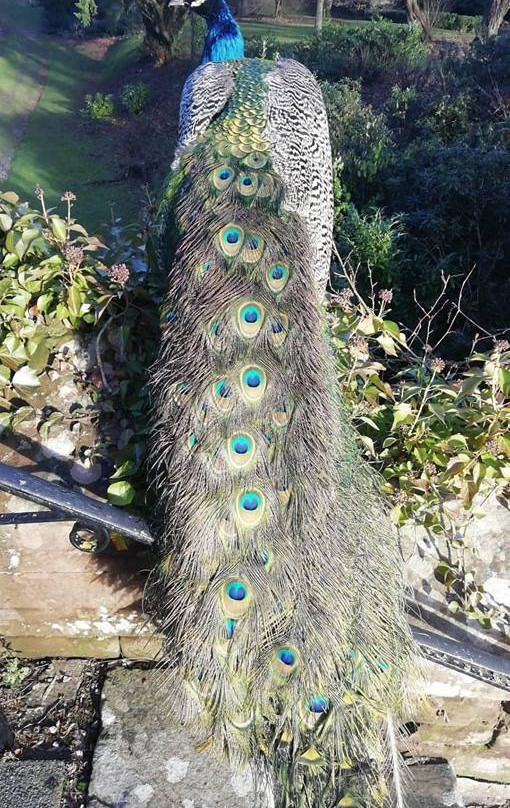 The Moat Spa-里辛必去景点