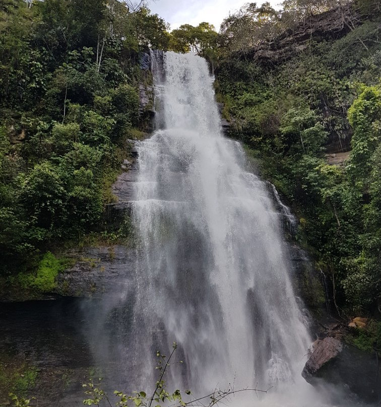 Cachoeira da samambaia