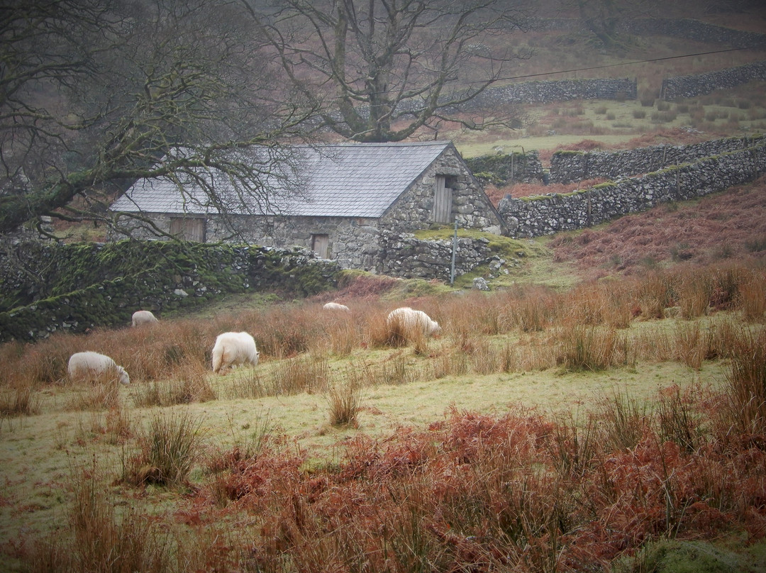 Rhaeadr Ddu and Coed Ganllwyd Walk景点图片