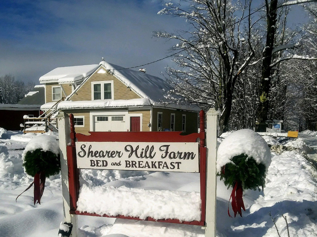 Shearer Hill Farm B&B主图