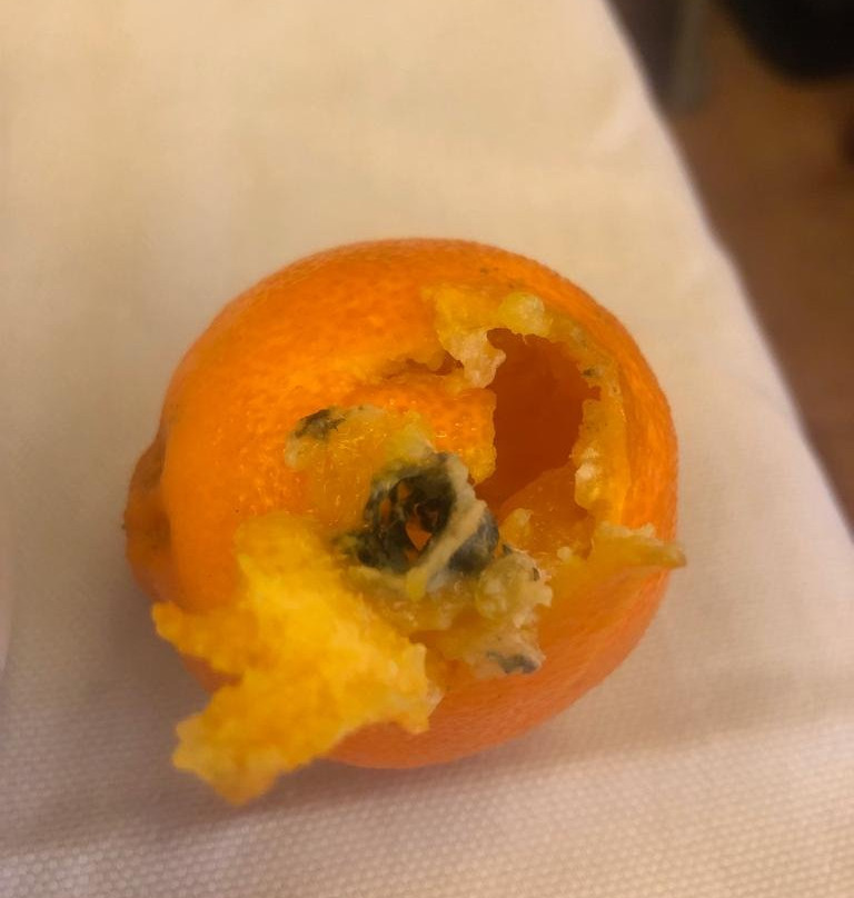 欧罗艾斯奎酒店主图