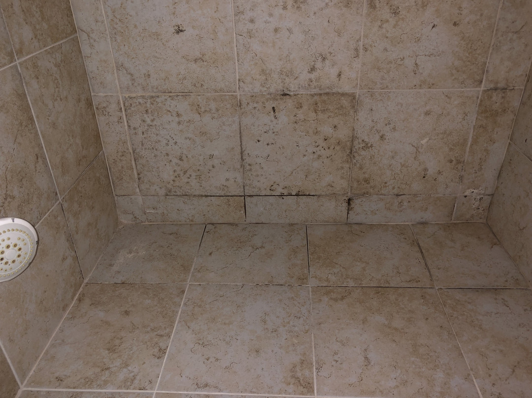 La Quinta Inn & Suites By Wyndham Marshall主图