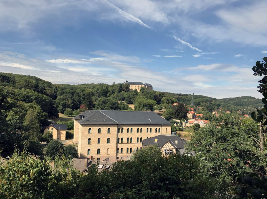Villa Viktoria Luise - Boutique Hotel主图