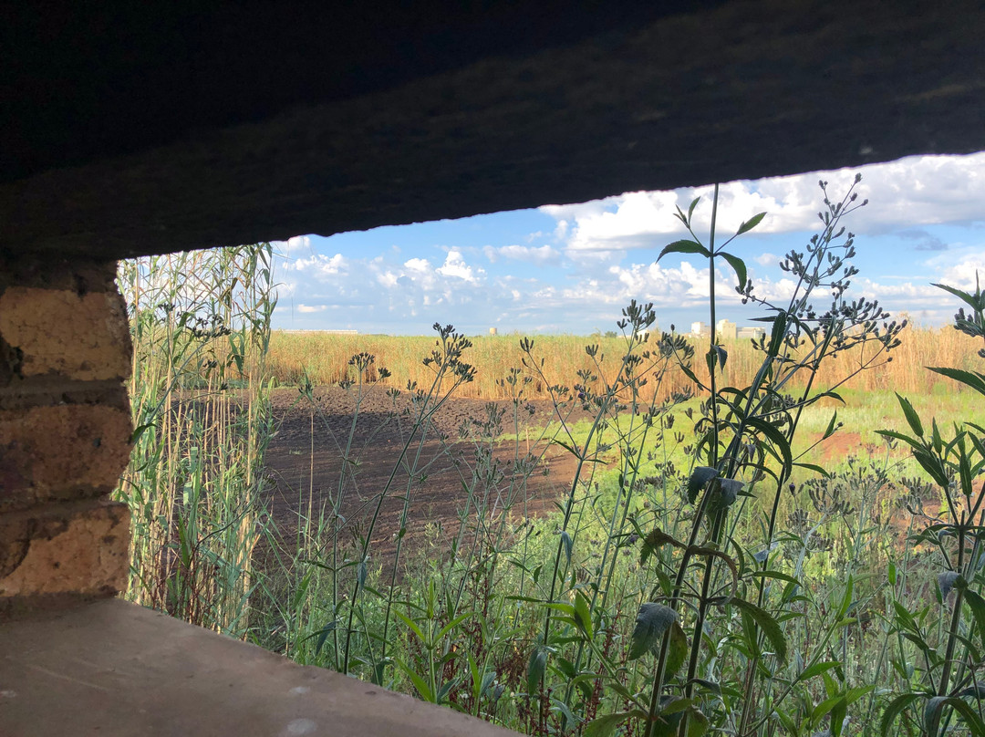 Rondebult Bird Sanctuary景点图片