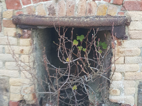 Lime Kilns-但尼丁必去景点