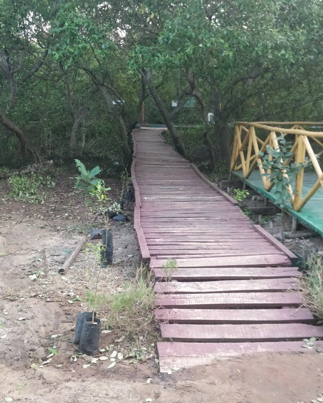 Coringa Wildlife Sanctuary-Kakinada必去景点
