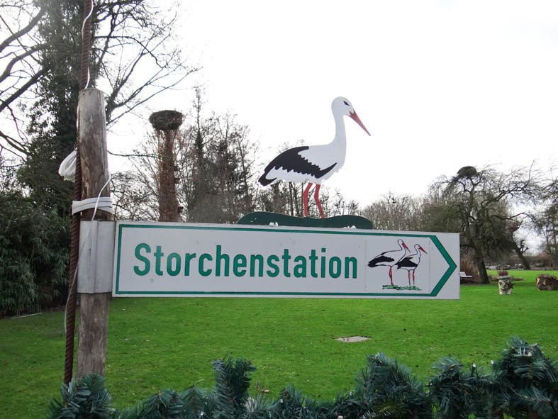 Storchenpflegestation Wesermarsch景点图片