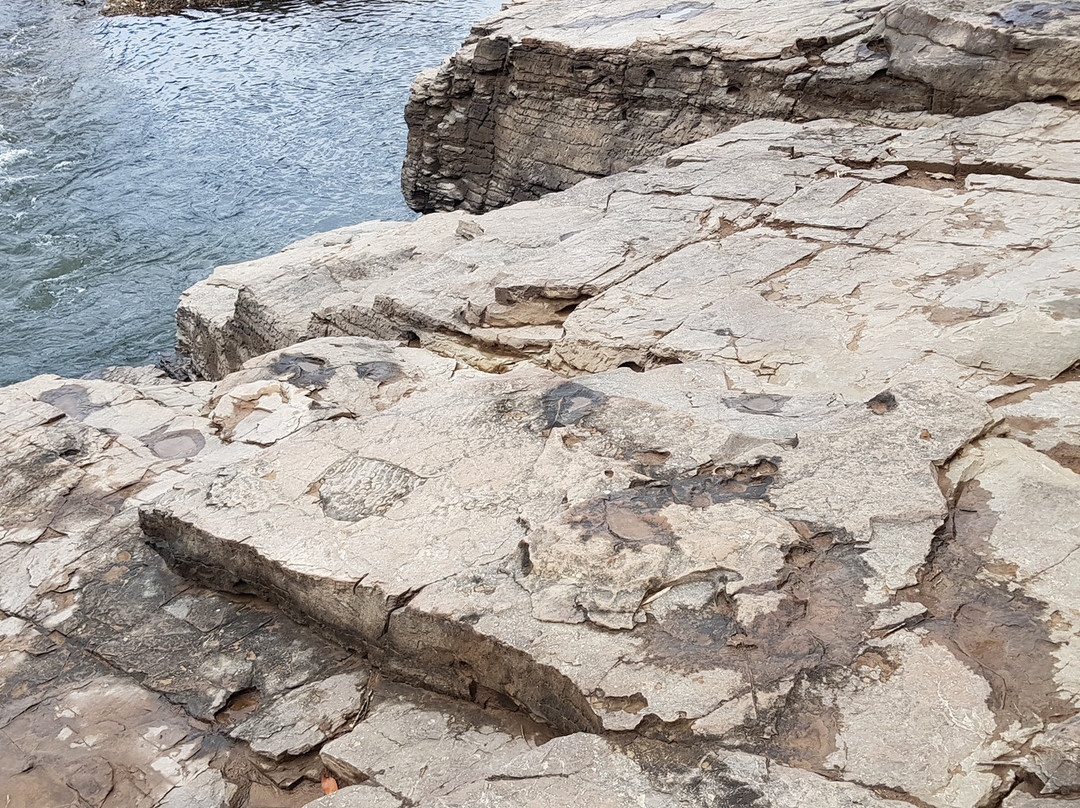 Bangudae Cliff-蔚山必去景点