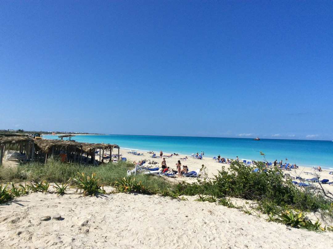 Hotel Playa Cayo Santa María主图