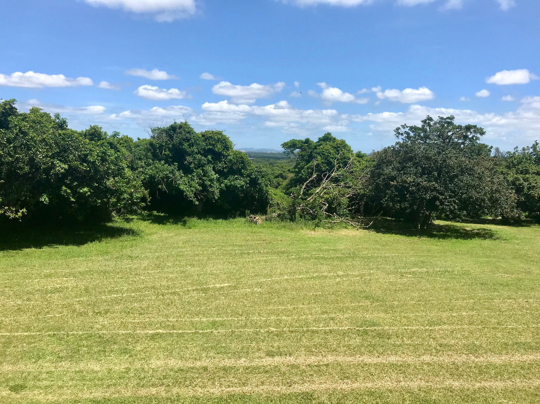 理查德斯普罗梯亚酒店主图