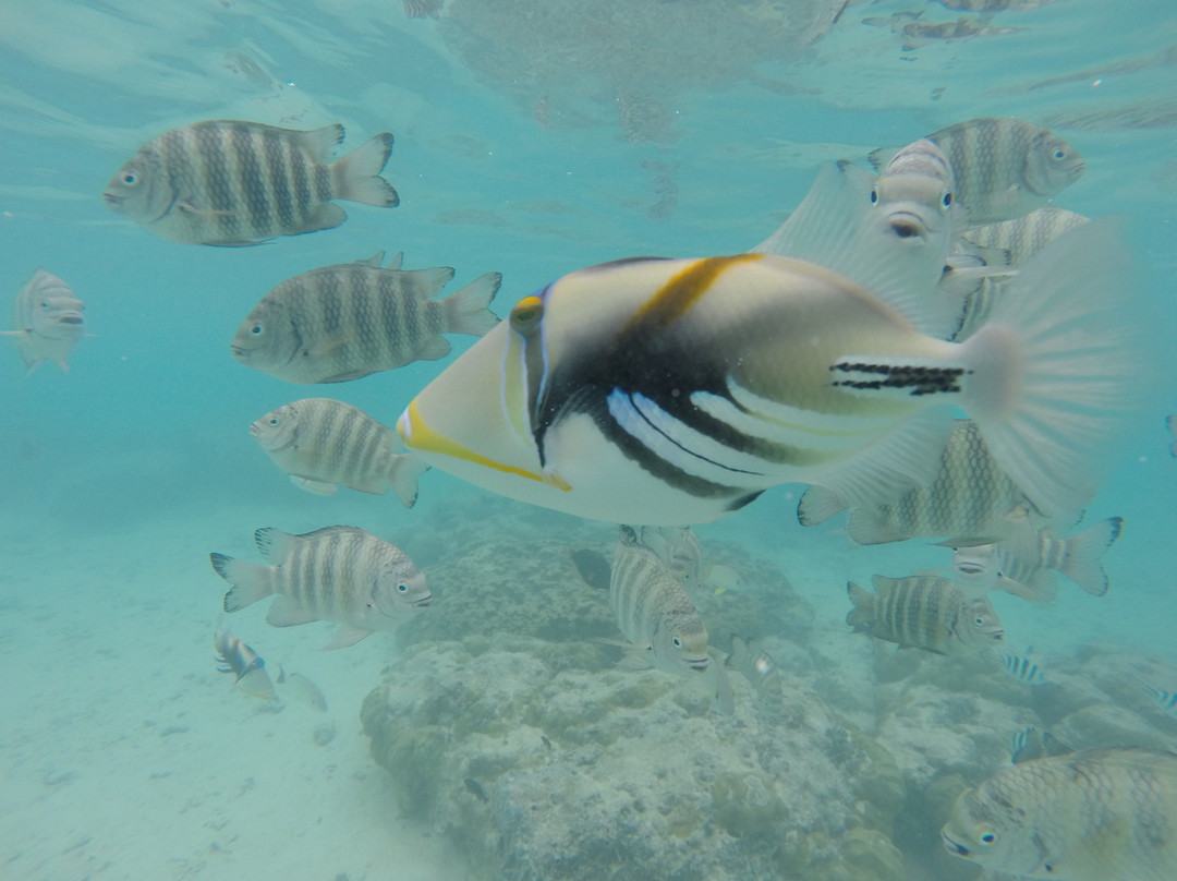 达斯特塔尼关岛度假村主图