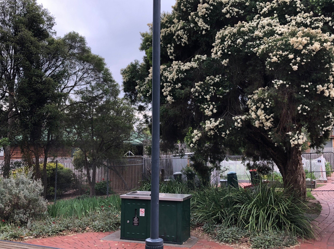 Alamein Avenue Playground景点图片