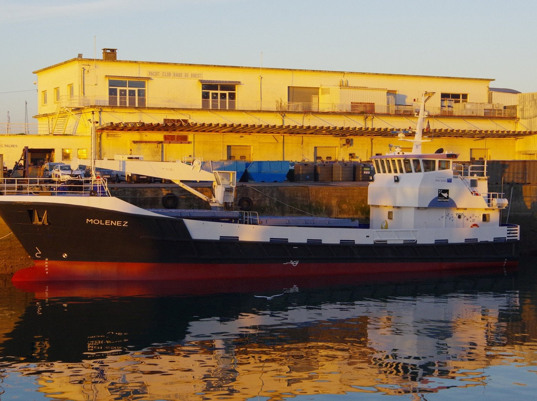 Compagnie Maritime Penn Ar Bed-Audierne必去景点