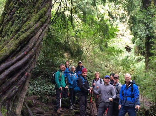 Zenit Travel Chile®️-普孔必去景点