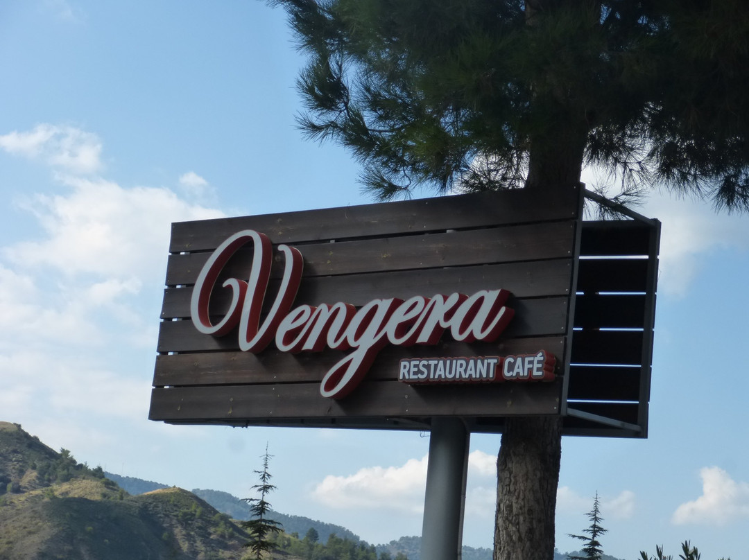 Vengera Café Restaurant and Apartments主图