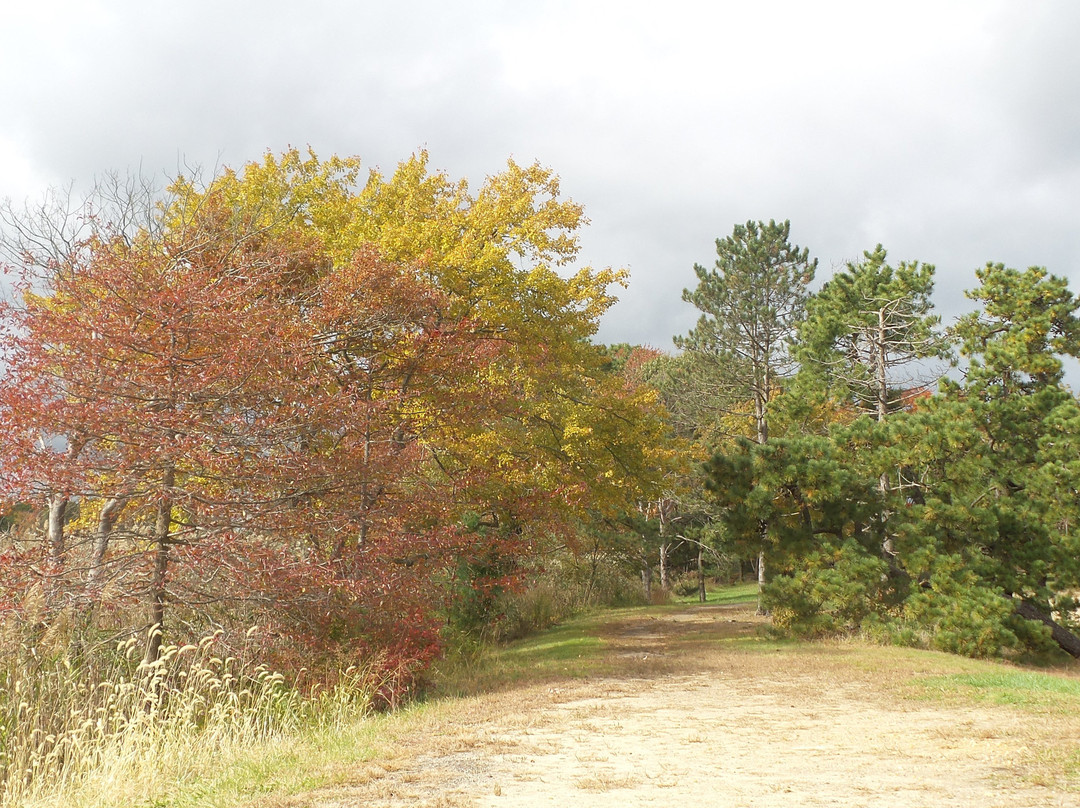 Cheesequake State Park-Matawan必去景点