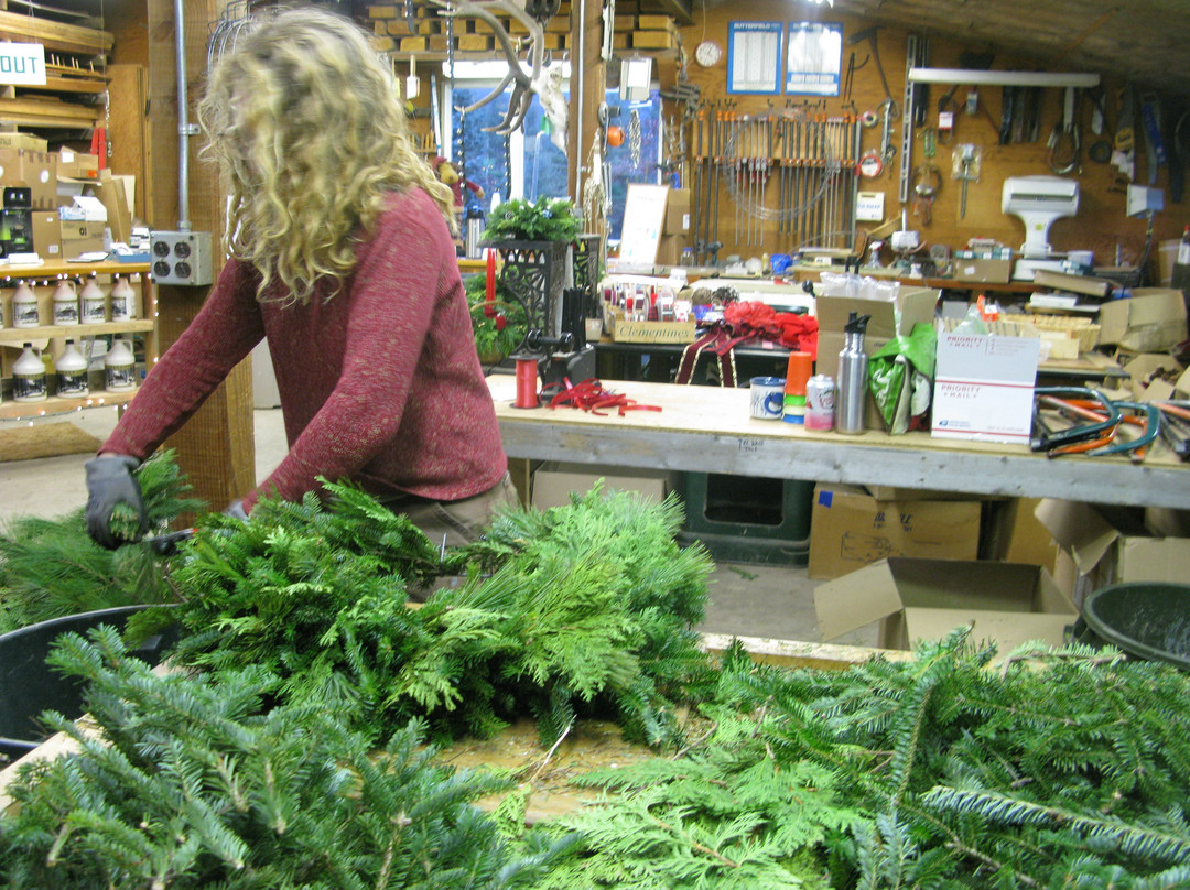 Werner Tree Farm-Middlebury必去景点