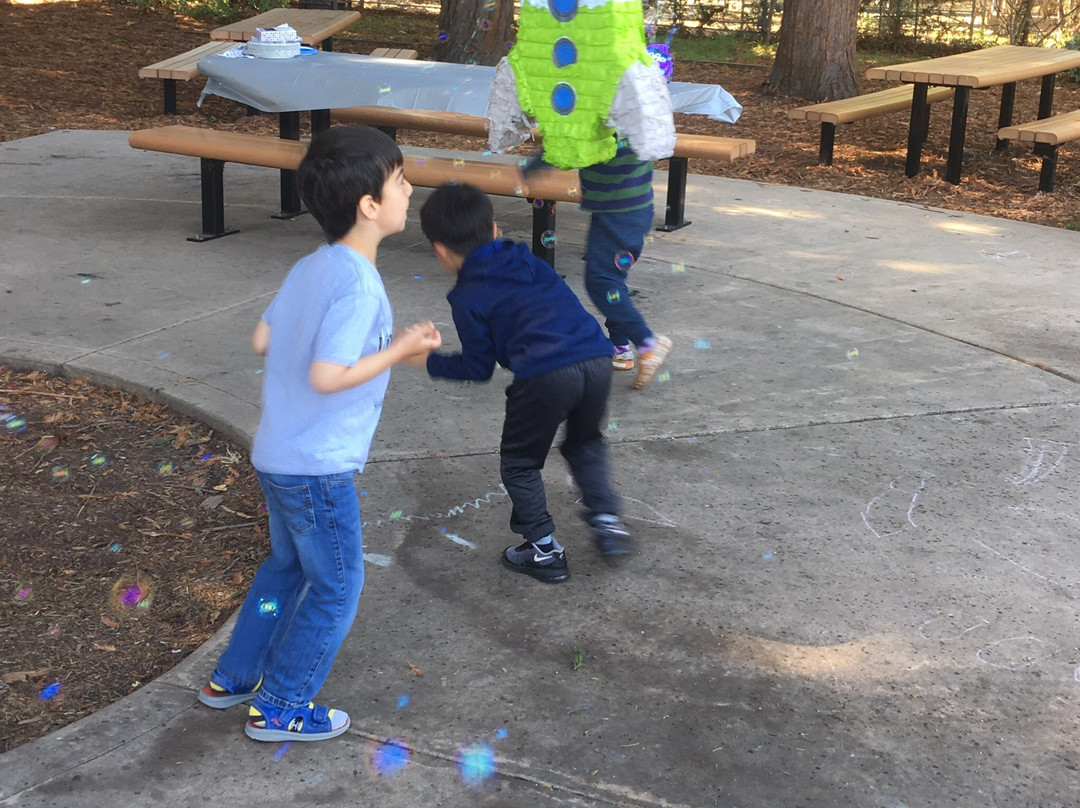 Jewel's Terrace Park-奥尔巴尼必去景点