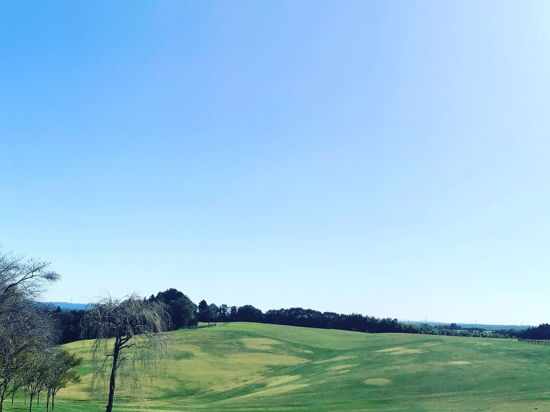 Nasunogahara Farm-太田原市必去景点