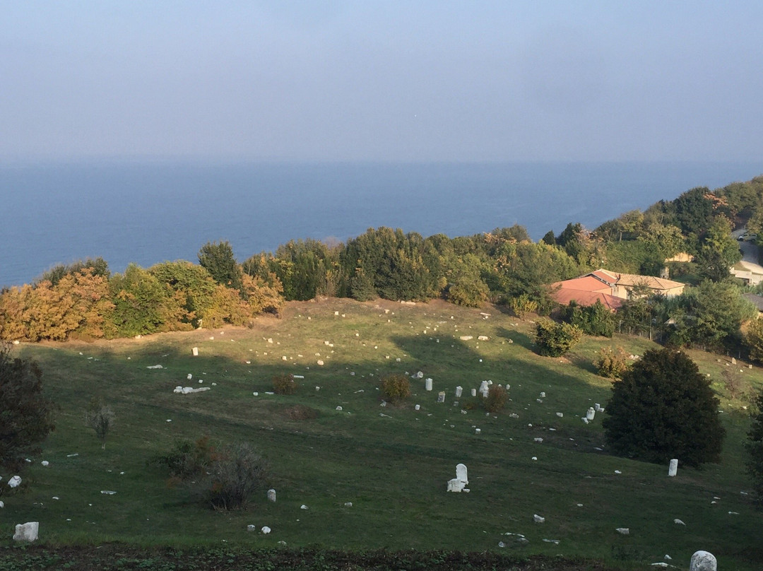 Parco del Cardeto景点图片