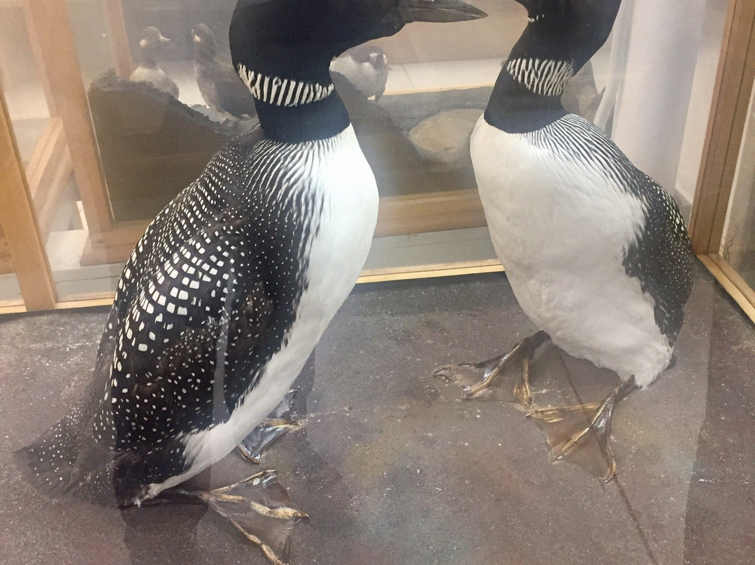 Southern Vermont Natural History Museum-Marlboro必去景点