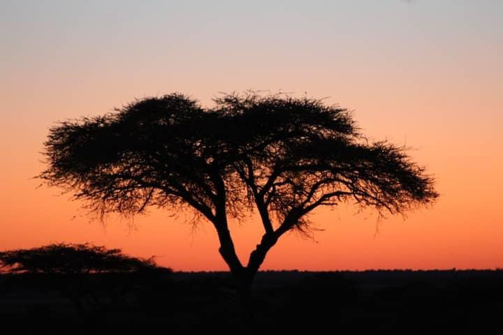 Marek Adventures-温德和克必去景点