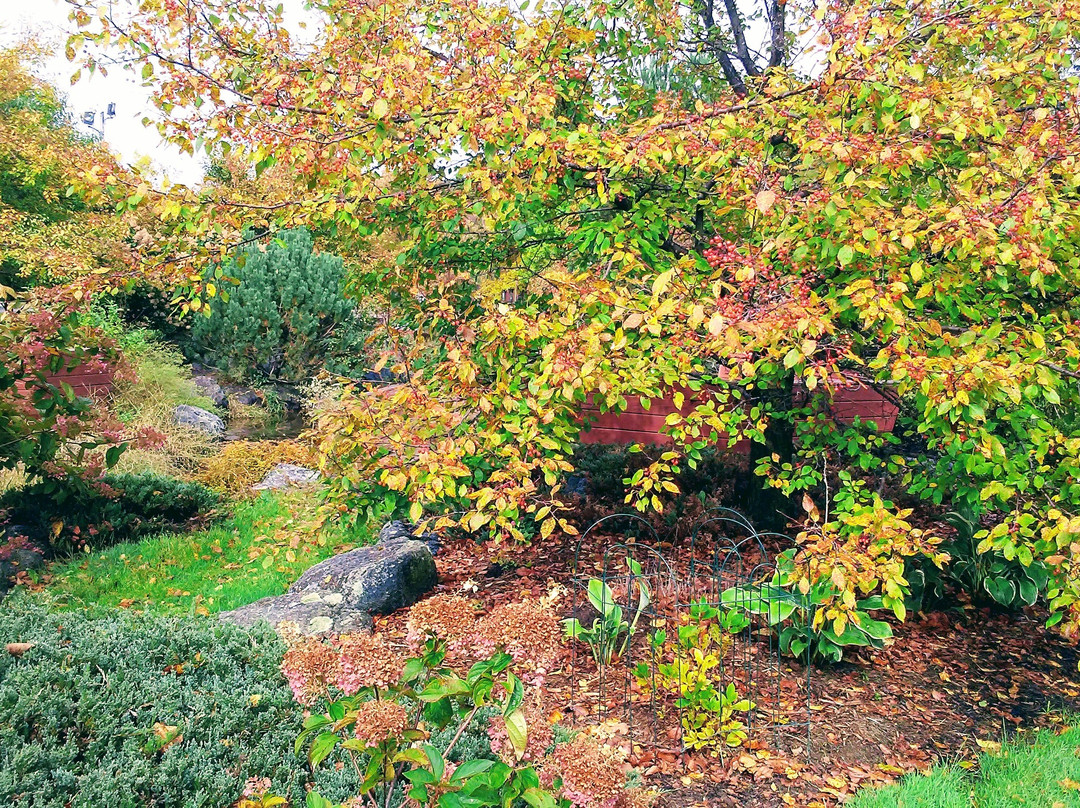 Wildwood Zoo-Marshfield必去景点