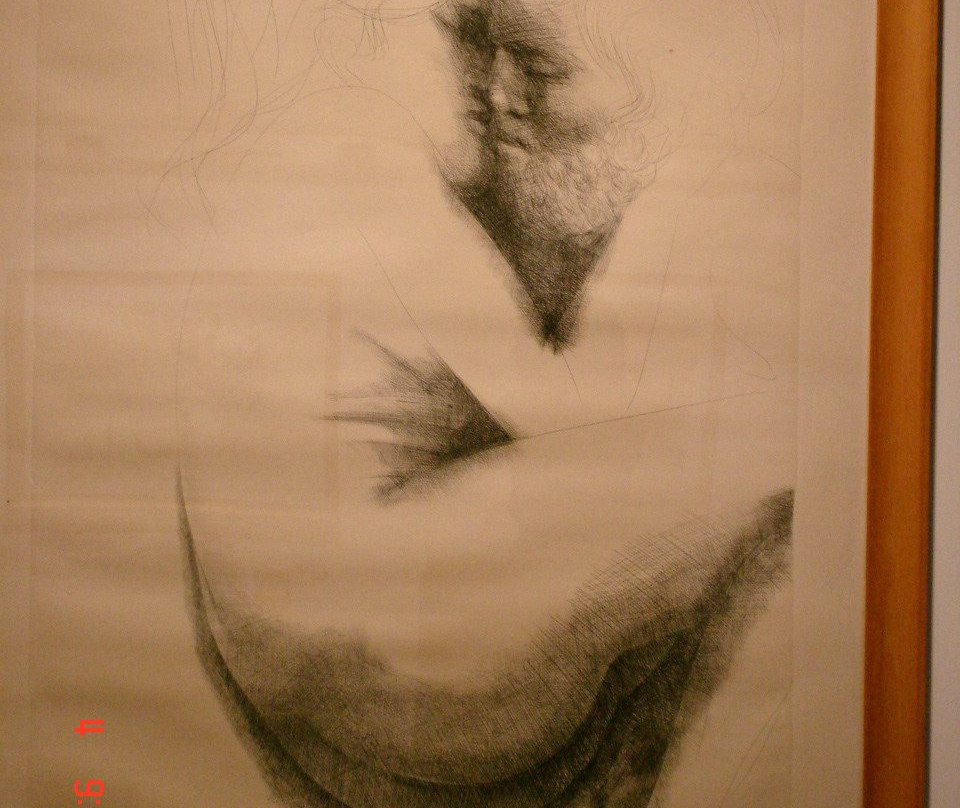 Museo Emilio Greco景点图片