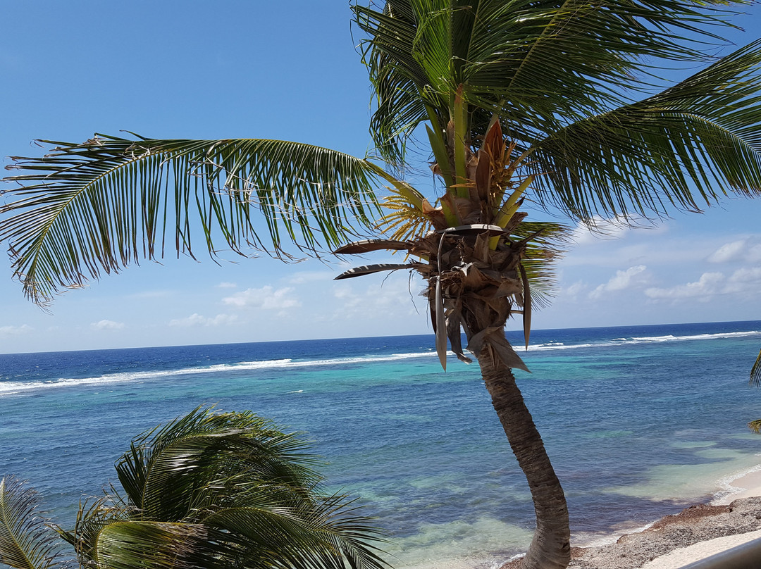 Sea Palm Villas主图