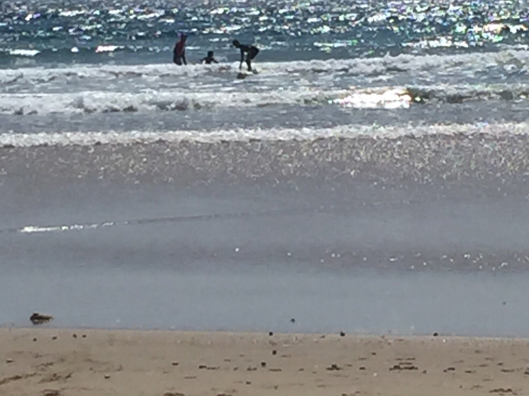 Trent Munro Surf Academy-西南岩必去景点