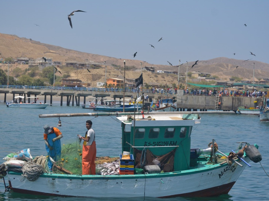 Puerto Velero-Organos必去景点