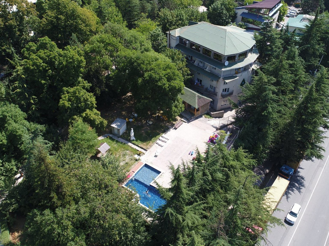 Hotel Borjomis Kheoba主图