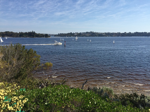 Point Resolution Reserve-Dalkeith必去景点