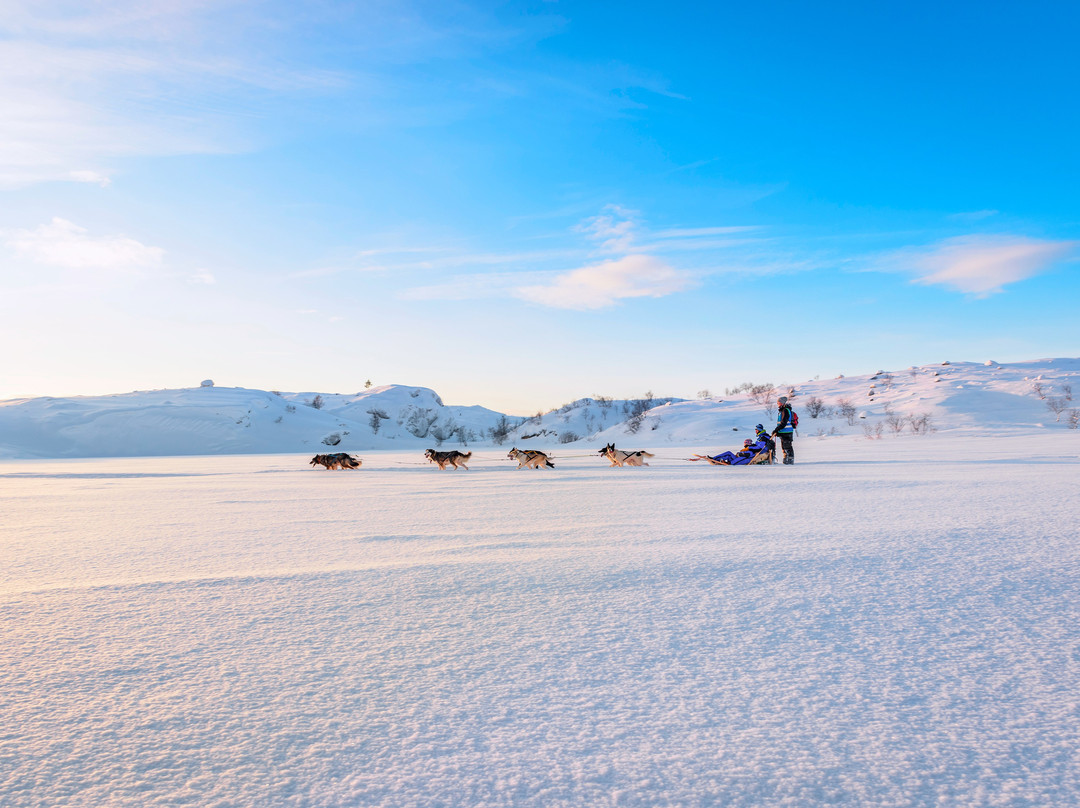 Husky Tours By Snowhotel Kirkenes景点图片