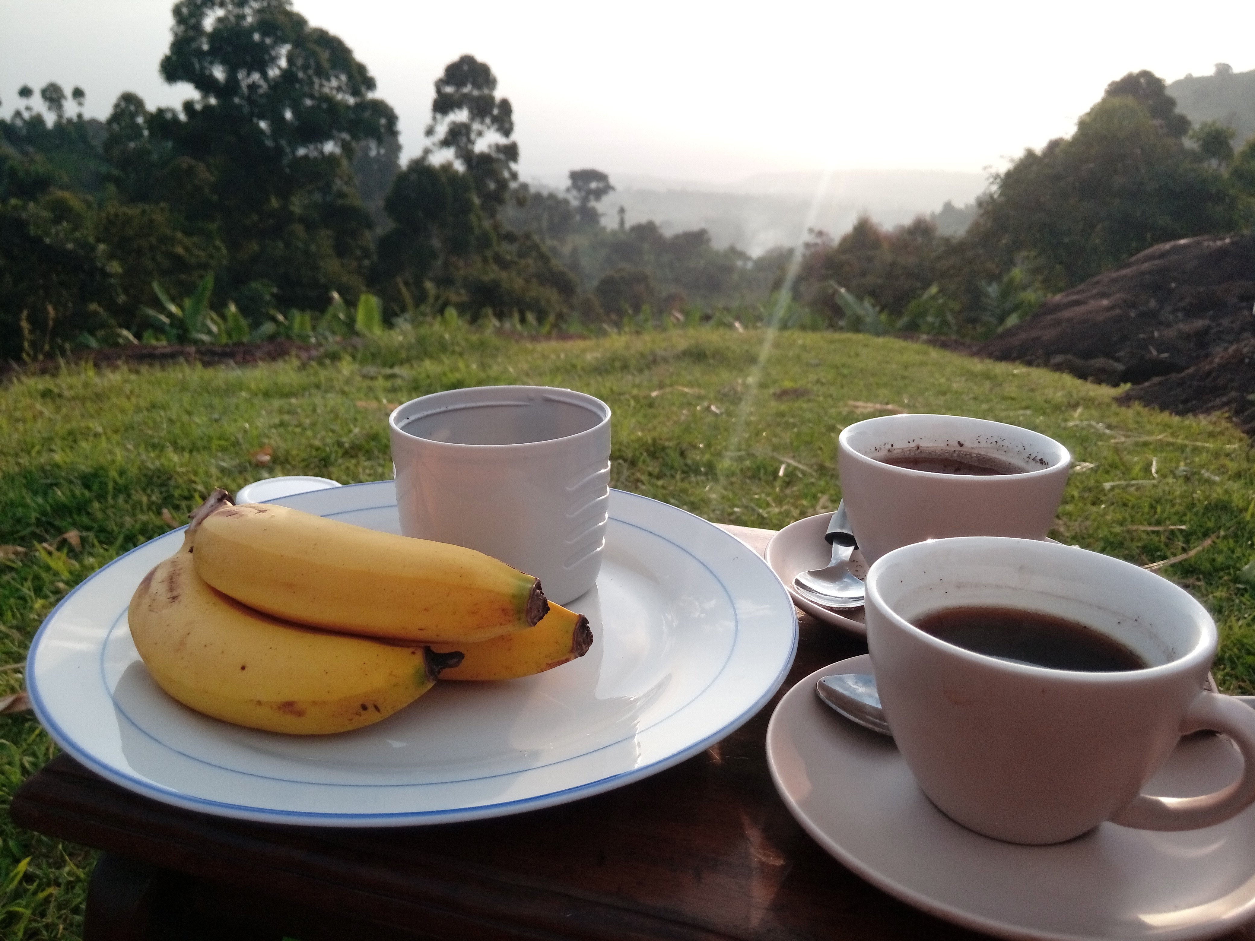 Fredson's Homestay-官方