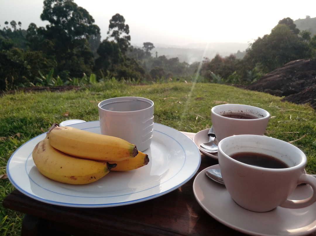 Sipi酒店住宿-Fredson's Homestay