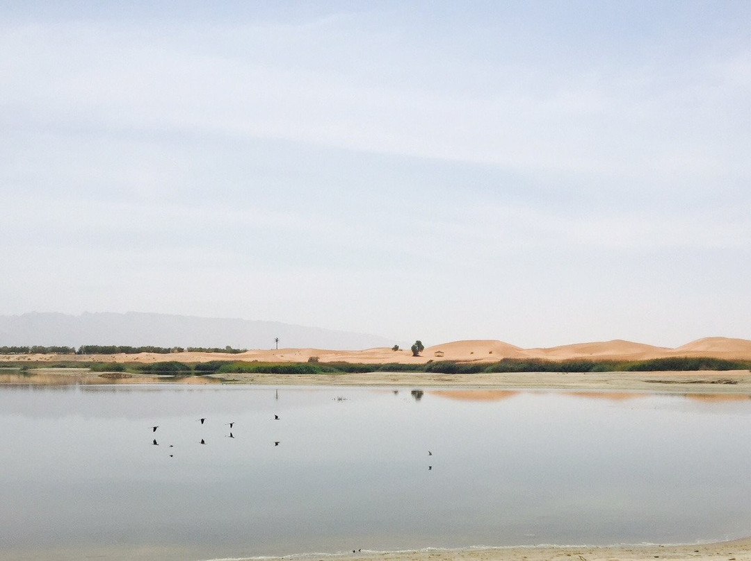 Lake Zakher-艾因市必去景点